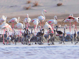 UAE: 10 natural hidden gems in the country