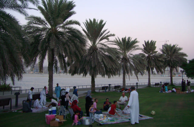 1.1398568-476495140