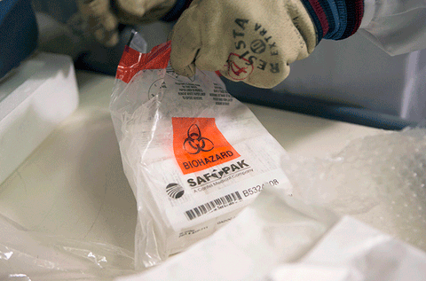 The need for new vaccines to tackle the pandemic is far from over. Across the world, there is a doubling down on efforts to bring these to market. This worked because of globalisation.