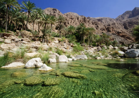 Oman reported no new COVID-19 fatalities on Thursday, keeping such deaths in the country at 17.