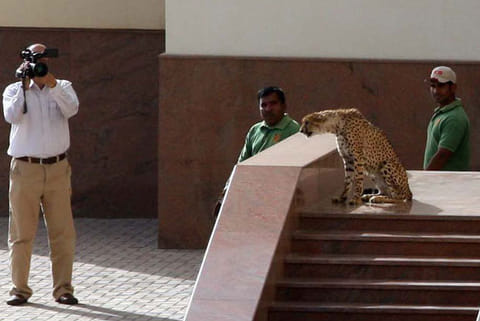 Atiq-Ur-Rehman/Gulf News Archives