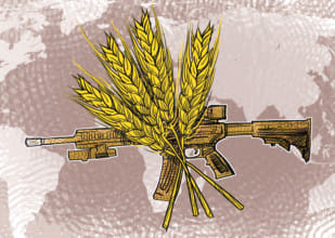 ‘Depopulation’ and global supply of grain