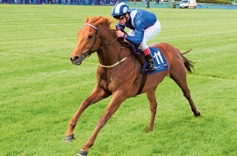 Mustajeeb and Pat Smullen winning for trainer Dermot Weld.
