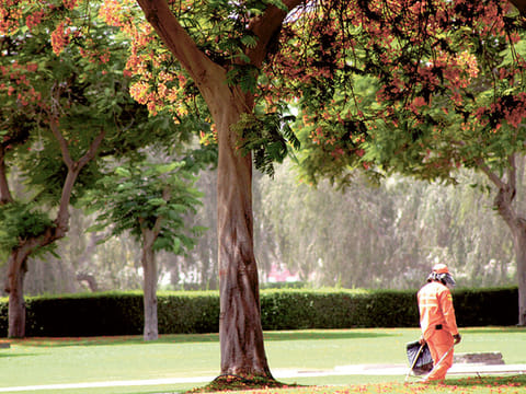 Picture for illustrative purposes: image of a Dubai park 