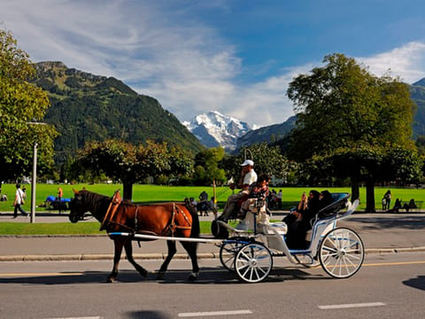 Interlaken Tourism