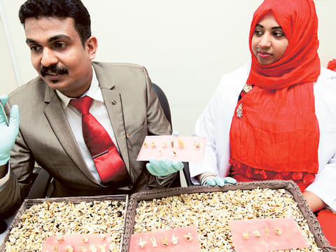 Ahmed Kutty/Gulf News