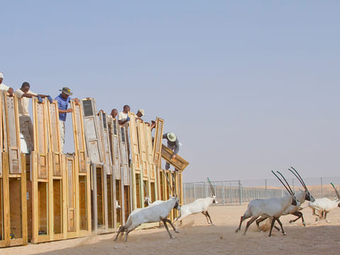 Courtesy: The Environment Agency – Abu Dhabi