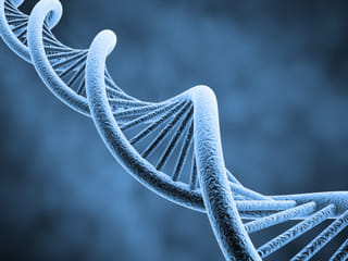 Man cured of HIV?