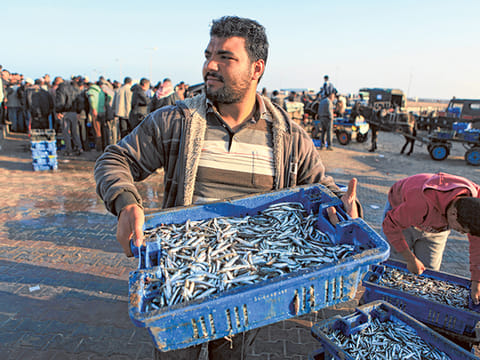 Gaza’s fishing industry gasping for breath