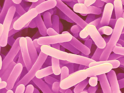 Diets based on gut microbes could fight diabetes