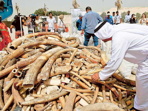 Ahmed Ramzan/Gulf News Archives