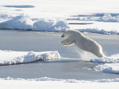 AFP