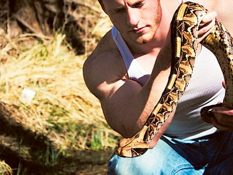 As cobras and vipers spread their deadly venom, it’s getting harder to save lives
