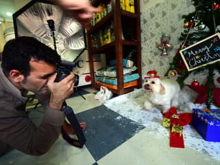 Pet photoshoot helps raise funds for animal welfare