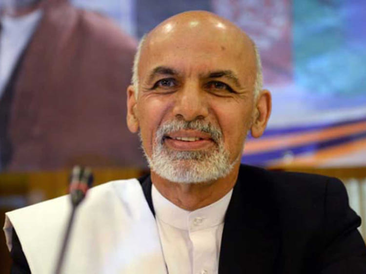 1.1669164-2958583741