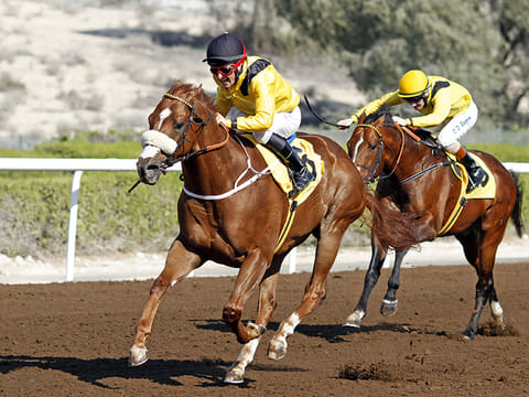Jebel Ali Racecourse is scheduled to host two race meetings on March 20 and April 3.