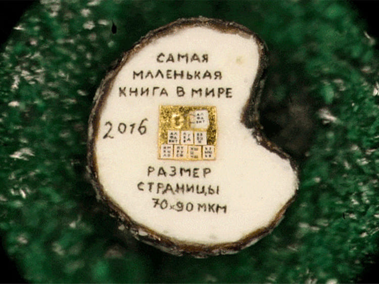 1.1686588-132887806