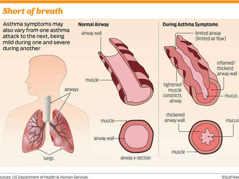 Gulf News