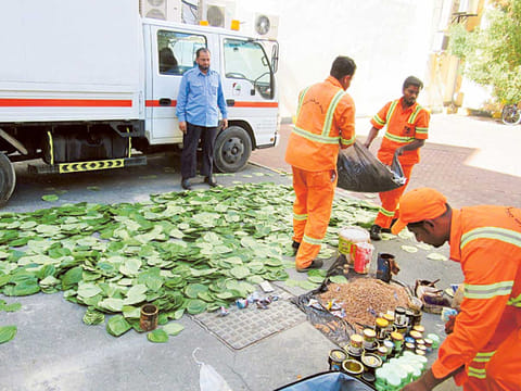 Courtesy of Dubai Municipality