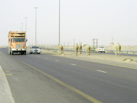Gulf News Archives