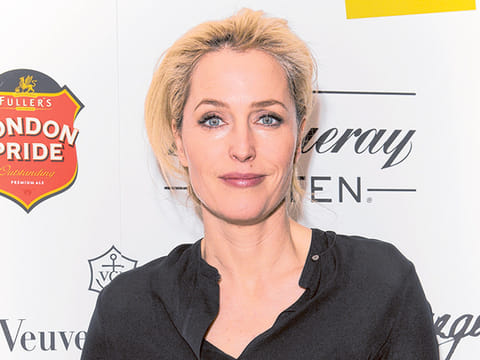 Gillian Anderson throws hat into the ring to be next 007