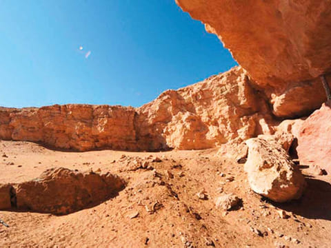 OeWF