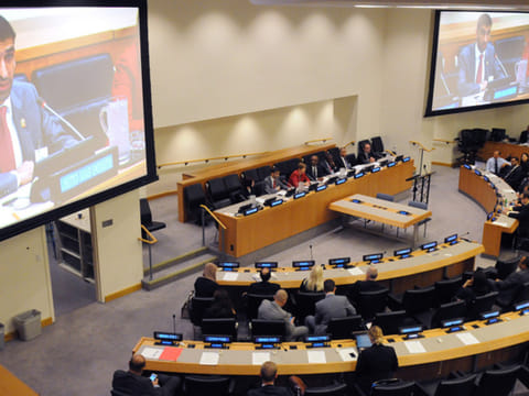 Celebrating our common future