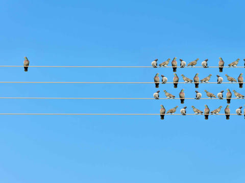 iStock