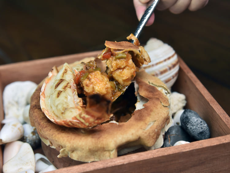 1.2133103-1702454628