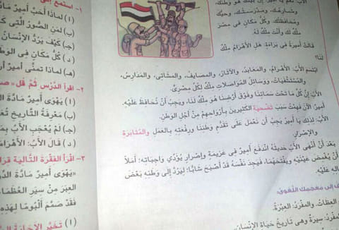Egypt opens probe over textbook flag