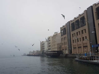 UAE weather alert: It’s foggy today