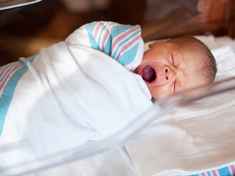 Istockphoto