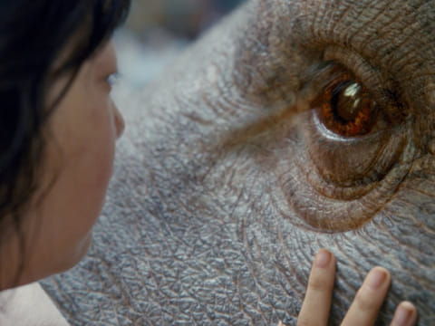 Why Netflix is such a hot button topic at Cannes