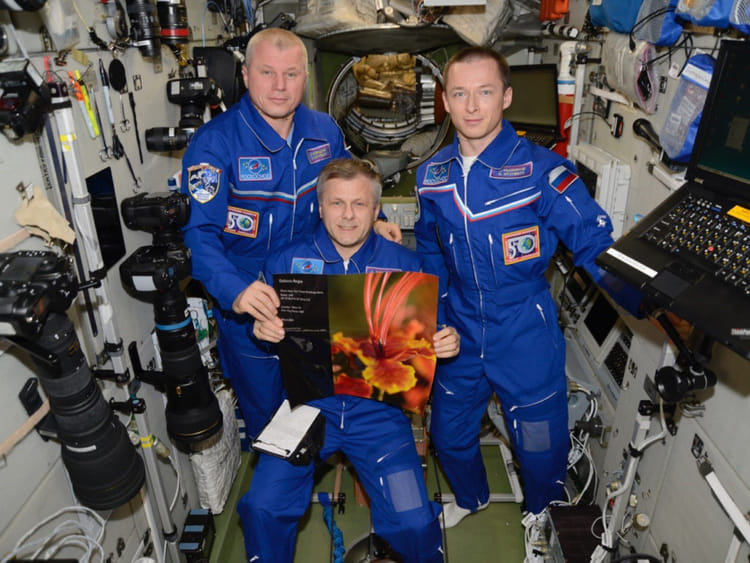 1.2038701-3630823406