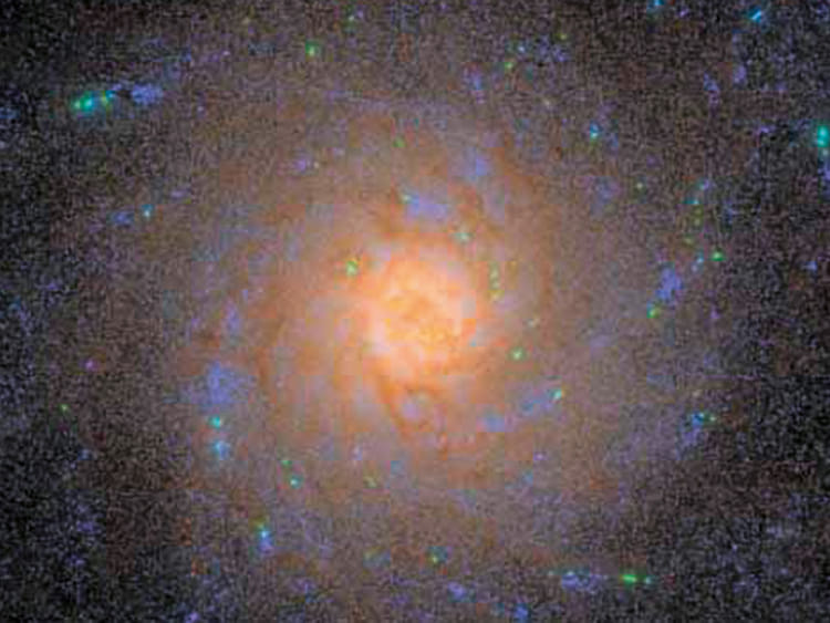 1.2062226-1921527014