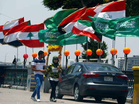 Flags of Arab states are seen along the Nile river (File image) 