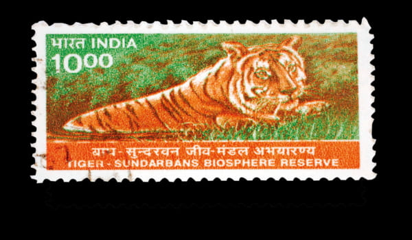 1.2073985-996812751