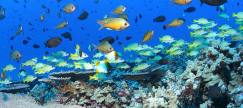 Science stories you may have missed
