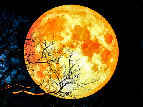 Istock