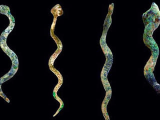 Ancient treasures found in Oman site
