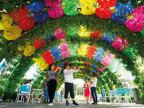 Dubai Miracle Garden, the world’s largest natural flower garden with over 150 million flowers, opens its gate for visitors on November 1 for the new season.
