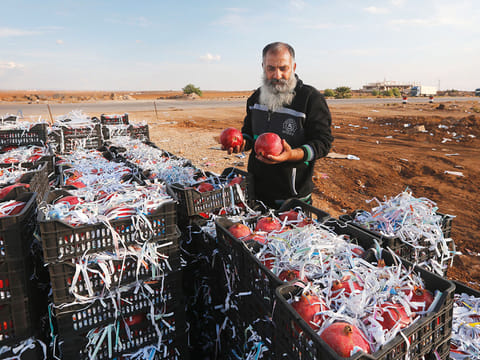 Syrian vendor Abu Ala’a waits for Jordanian customers to sell them pomegranates at the recently reopened Naseeb border post in Daraa province on the Syrian-Jordanian border.