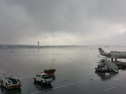 How your flight is managed when fog blankets Dubai