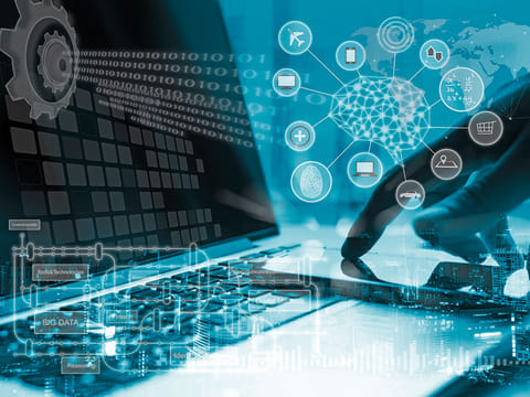 AI, data and enterprise infrastructure skills... they go a long way in today's UAE job market.