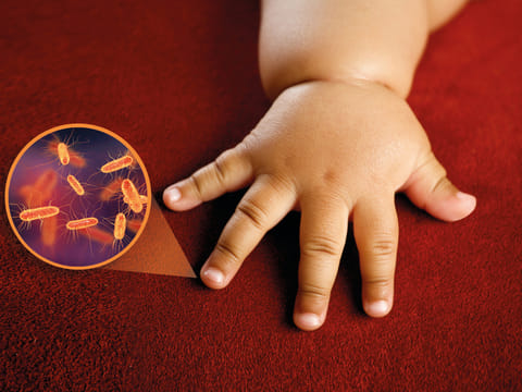 Exposure to disinfectants used at home could be making children overweight by altering their gut microbiota, a new study suggests. However, the same association with detergents was not found.