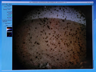 Nasa's InSight lander touches down on Mars