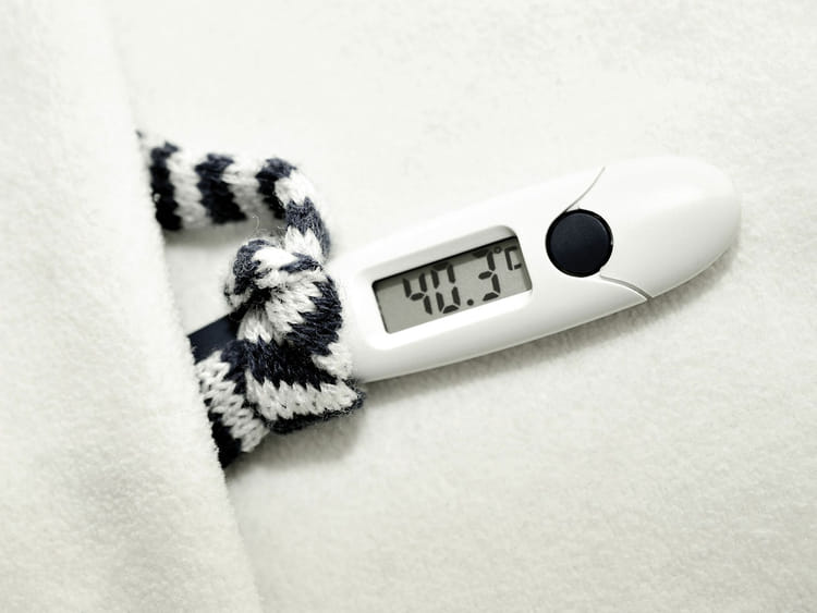 high fever thermometer-3798294_1920