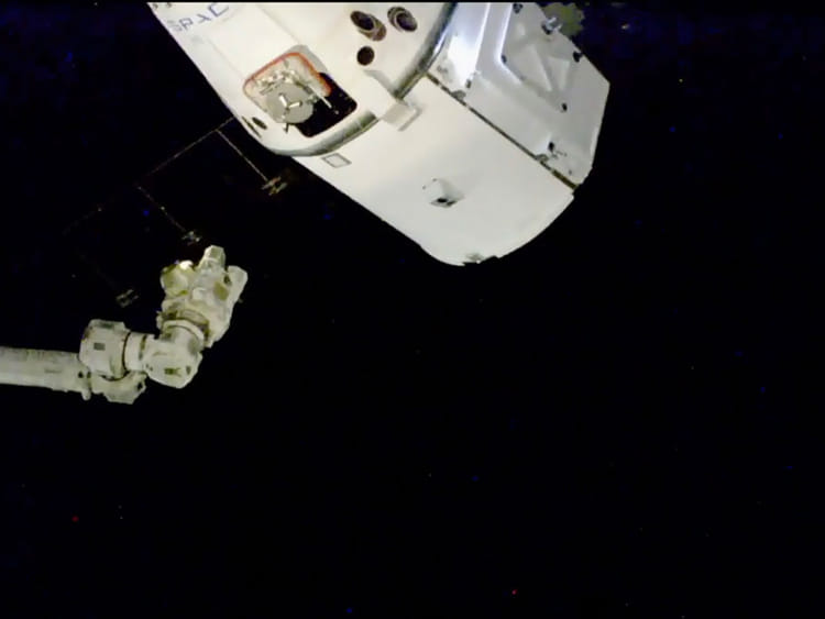 SpaceX Dragon cargo