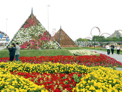 Bus Route 105 will ply to Dubai Miracle Garden located in Dubailand from October 10.