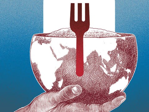 COVID-19 has revived the discussion around domestic production and self-sufficiency in food, which may now be pursued irrespective of financial and other costs.